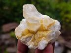 Natural Limonite Quartz Clusters x 24 From Solwezi, Zambia