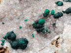 Natural Ball Malachite Specimens on Quartz and Dolomite Matrix x 2 From Mindingi Mine, Kambove, Congo