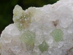 Natural Mix of Mineral Specimens x 6 From Erongo, Namibia