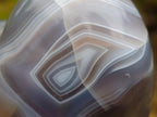 Polished Banded Agate Hearts x 6 From Madagascar