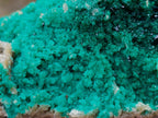 Natural Crystalline Malachite Specimens x 2 From Tenke Fungurume, Congo