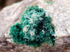 Natural Crystalline Malachite Specimens x 2 From Tenke Fungurume, Congo
