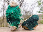 Natural Crystalline Malachite Specimens x 2 From Tenke Fungurume, Congo