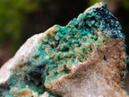 Natural Crystalline Malachite Specimens x 2 From Tenke Fungurume, Congo