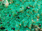 Natural Crystalline Malachite Specimens x 2 From Tenke Fungurume, Congo