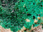 Natural Crystalline Malachite Specimens x 2 From Tenke Fungurume, Congo