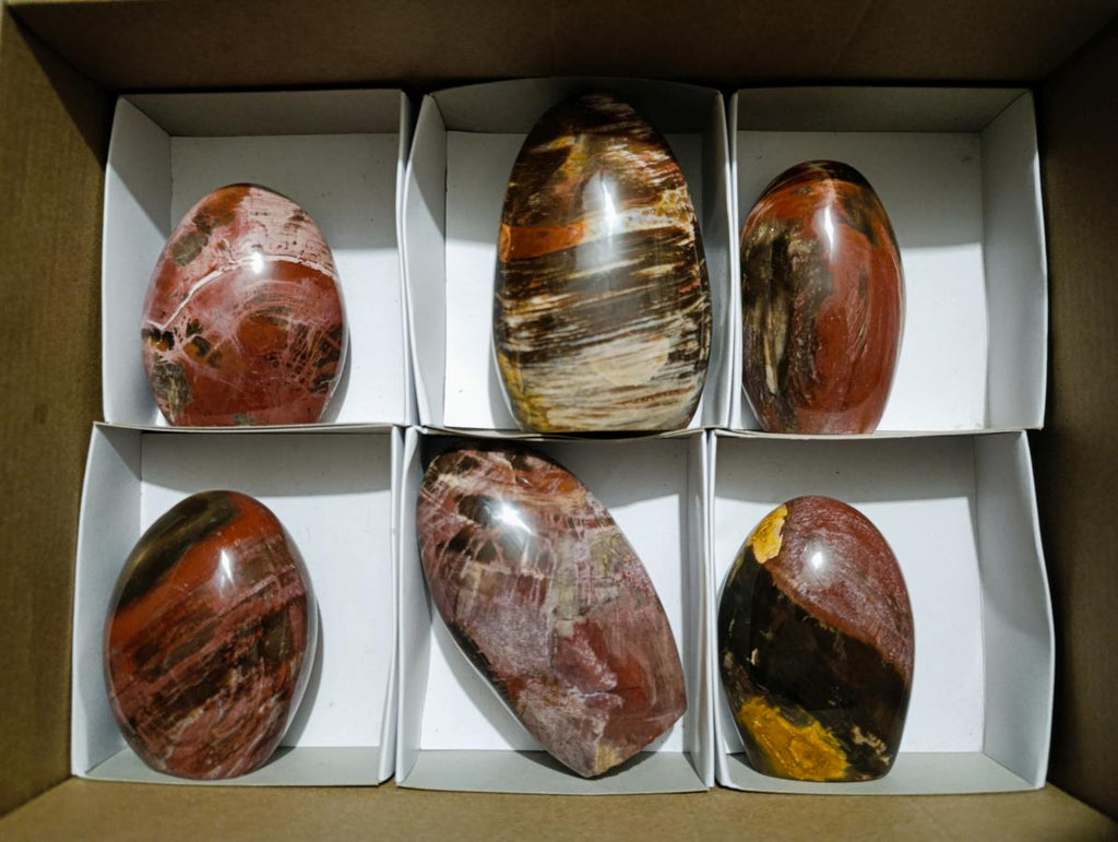 Polished Red Podocarpus Petrified Wood Standing Display Pieces x 6 From Mahajanga, Madagascar