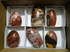 Polished Red Podocarpus Petrified Wood Standing Display Pieces x 6 From Mahajanga, Madagascar