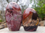 Polished Red Podocarpus Petrified Wood Standing Display Pieces x 6 From Mahajanga, Madagascar