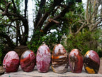 Polished Red Podocarpus Petrified Wood Standing Display Pieces x 6 From Mahajanga, Madagascar