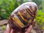 Polished Red Podocarpus Petrified Wood Standing Display Pieces x 6 From Mahajanga, Madagascar