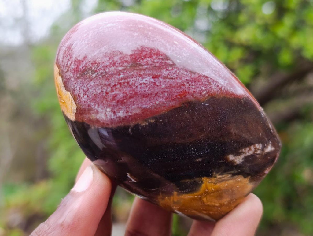 Polished Red Podocarpus Petrified Wood Standing Display Pieces x 6 From Mahajanga, Madagascar
