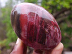 Polished Red Podocarpus Petrified Wood Standing Display Pieces x 6 From Mahajanga, Madagascar