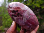 Polished Red Podocarpus Petrified Wood Standing Display Pieces x 6 From Mahajanga, Madagascar