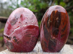 Polished Red Podocarpus Petrified Wood Standing Display Pieces x 6 From Mahajanga, Madagascar