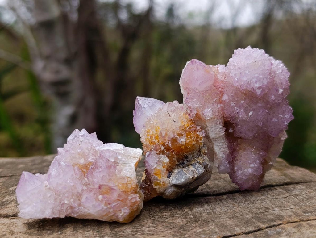 Natural Spirit Amethyst Crystals and Clusters x 20 From Boekenhouthoek, South Africa