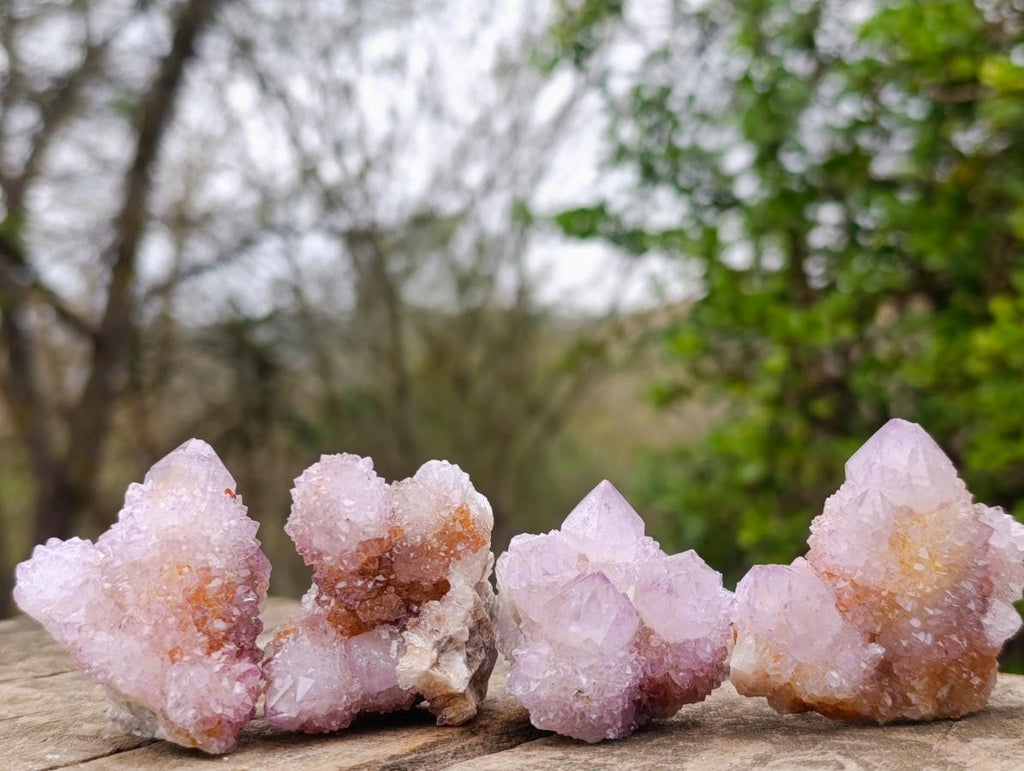 Natural Spirit Amethyst Crystals and Clusters x 20 From Boekenhouthoek, South Africa