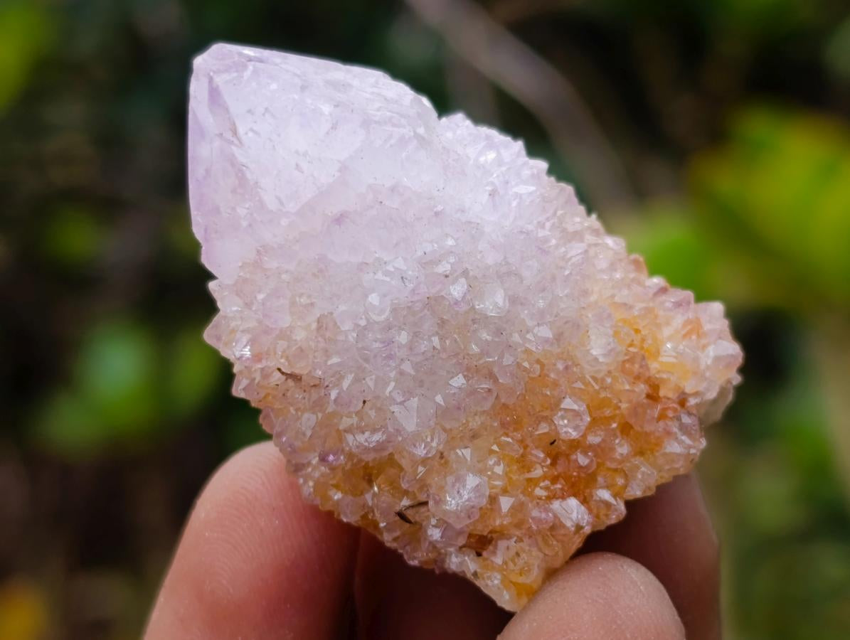 Natural Spirit Amethyst Crystals and Clusters x 20 From Boekenhouthoek, South Africa