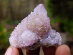 Natural Spirit Amethyst Crystals and Clusters x 20 From Boekenhouthoek, South Africa