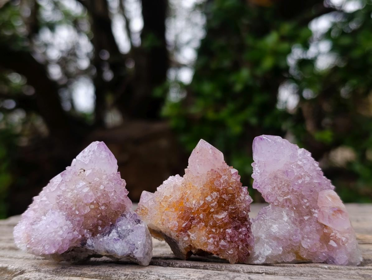 Natural Spirit Amethyst Crystals and Clusters x 20 From Boekenhouthoek, South Africa