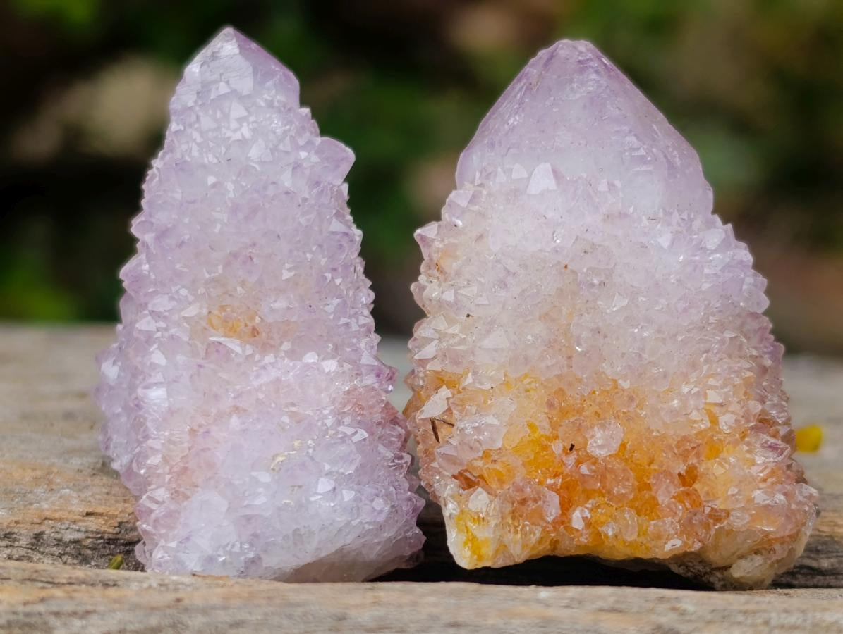 Natural Spirit Amethyst Crystals and Clusters x 20 From Boekenhouthoek, South Africa