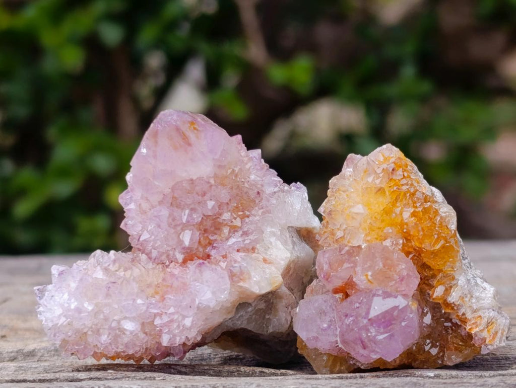 Natural Spirit Amethyst Crystals and Clusters x 20 From Boekenhouthoek, South Africa