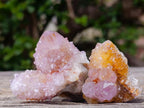 Natural Spirit Amethyst Crystals and Clusters x 20 From Boekenhouthoek, South Africa
