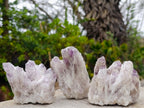 Natural Sugar Amethyst Crystal Clusters x 12 From Zambia