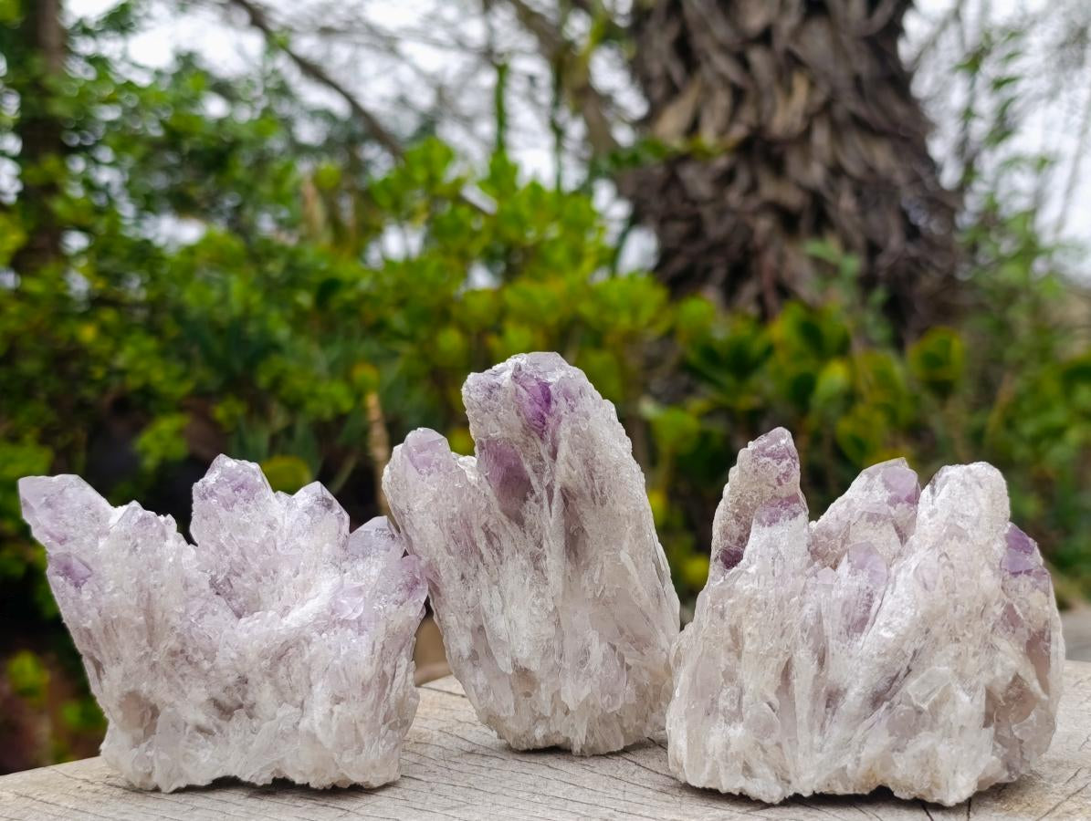 Natural Sugar Amethyst Crystal Clusters x 12 From Zambia