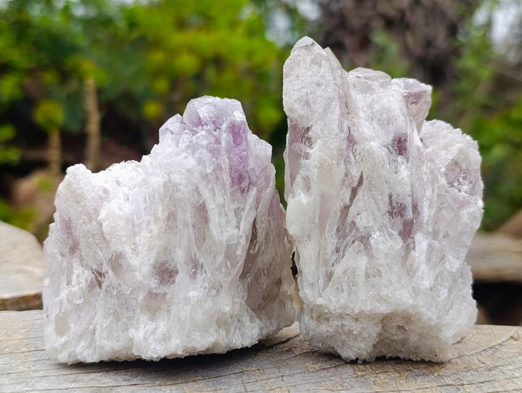 Natural Sugar Amethyst Crystal Clusters x 12 From Zambia