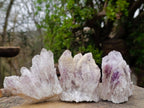 Natural Sugar Amethyst Crystal Clusters x 12 From Zambia