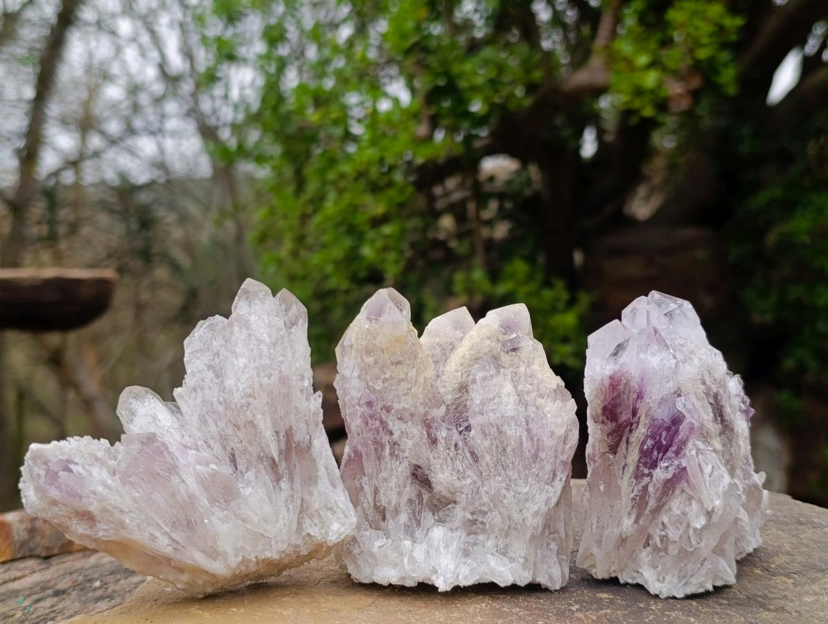 Natural Sugar Amethyst Crystal Clusters x 12 From Zambia