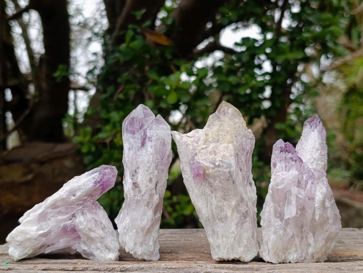 Natural Sugar Amethyst Crystal Clusters x 12 From Zambia