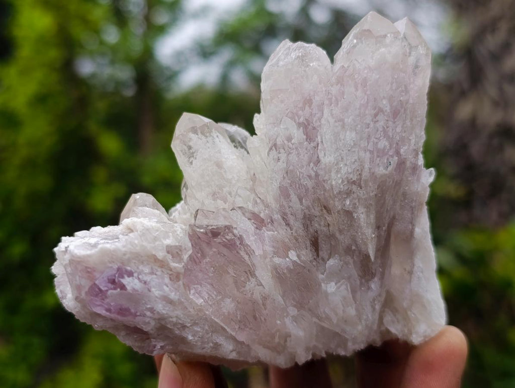 Natural Sugar Amethyst Crystal Clusters x 12 From Zambia