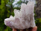 Natural Sugar Amethyst Crystal Clusters x 12 From Zambia