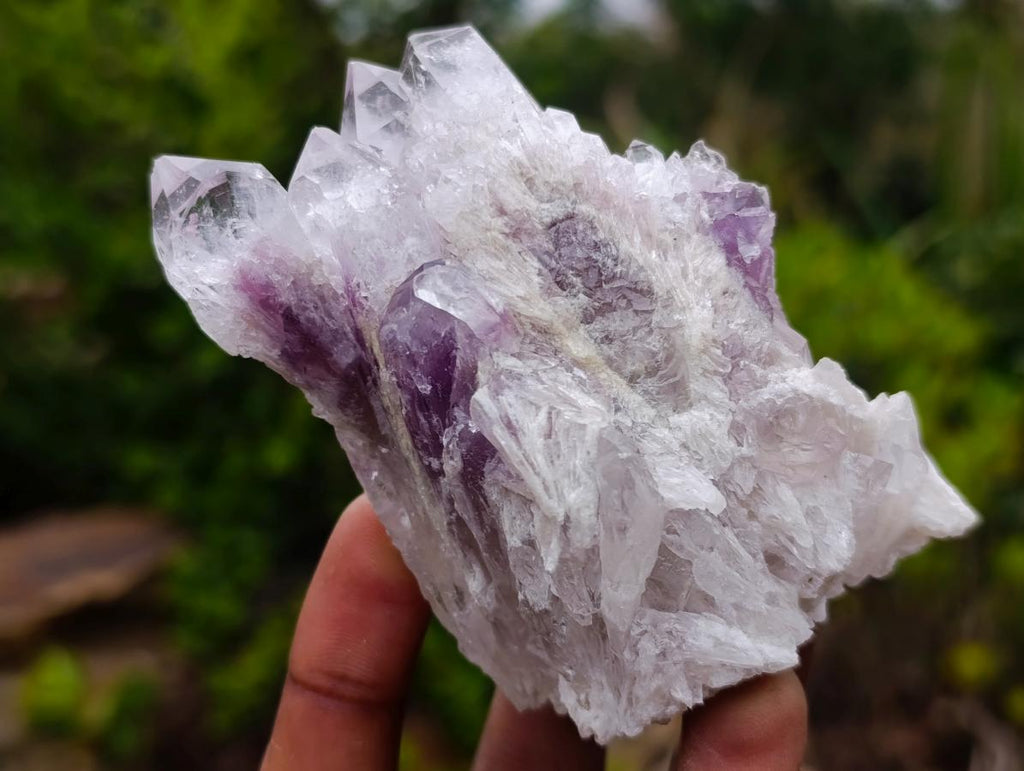 Natural Sugar Amethyst Crystal Clusters x 12 From Zambia