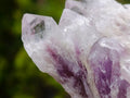 Natural Sugar Amethyst Crystal Clusters x 12 From Zambia