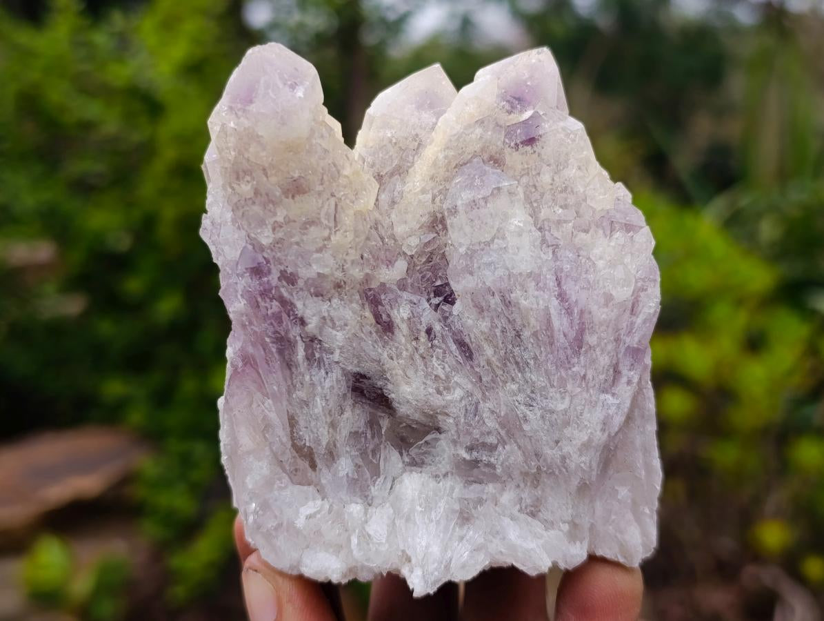 Natural Sugar Amethyst Crystal Clusters x 12 From Zambia