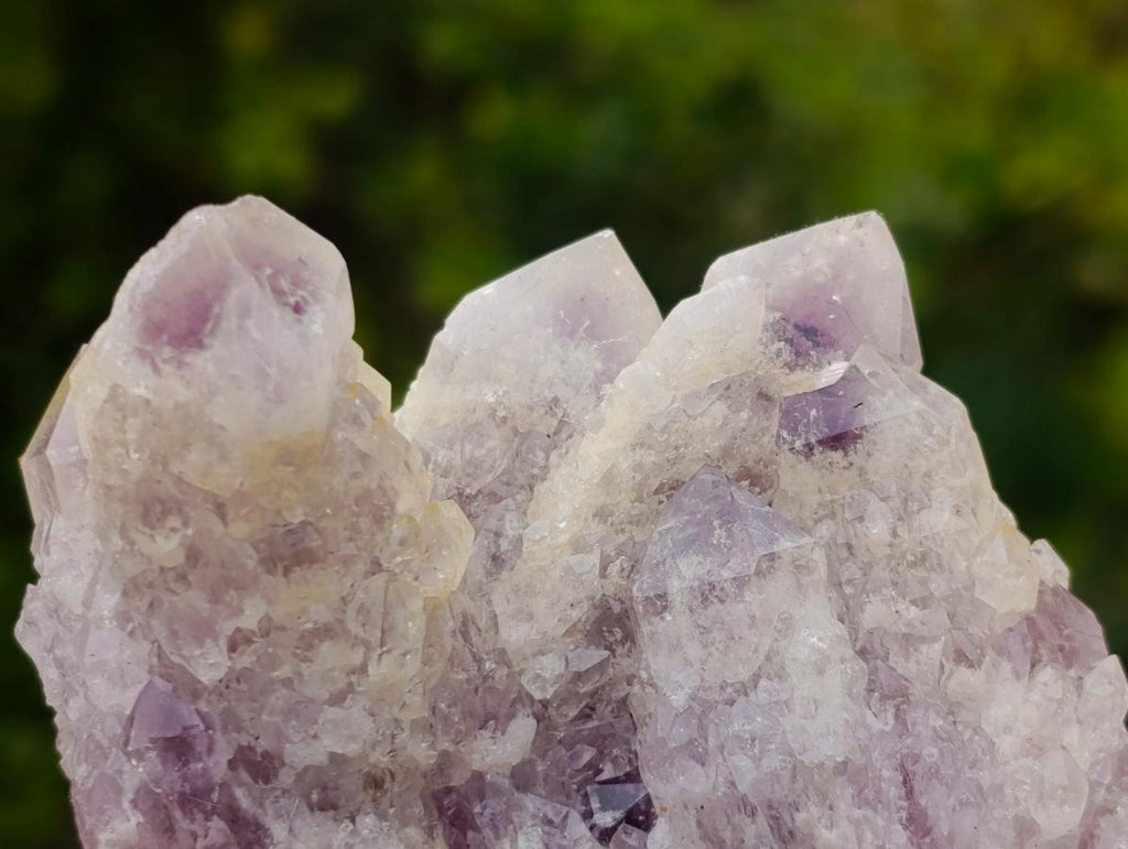 Natural Sugar Amethyst Crystal Clusters x 12 From Zambia