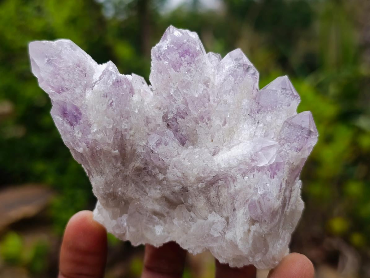 Natural Sugar Amethyst Crystal Clusters x 12 From Zambia