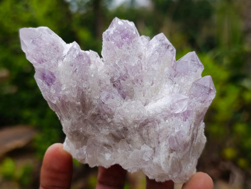Natural Sugar Amethyst Crystal Clusters x 12 From Zambia