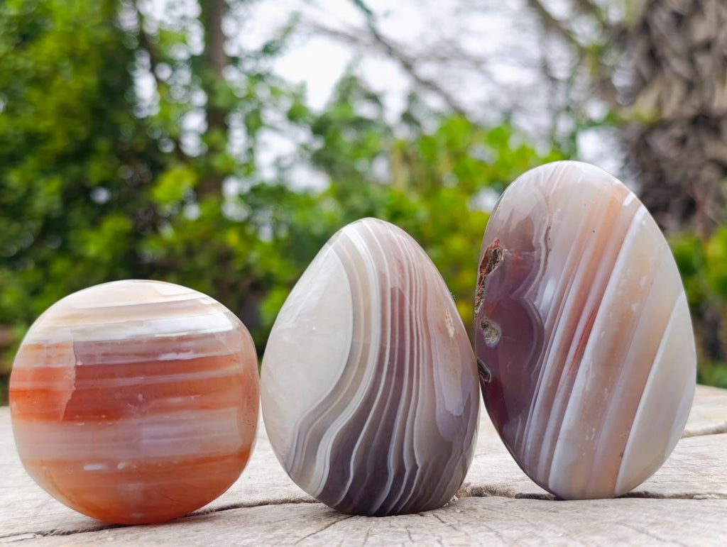 Polished Red Shashe River Agate Free Forms x 12 From Shashe River, Zimbabwe