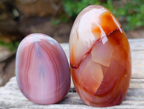 Polished Red Shashe River Agate Free Forms x 12 From Shashe River, Zimbabwe