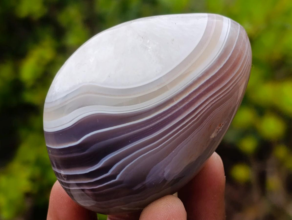 Polished Red Shashe River Agate Free Forms x 12 From Shashe River, Zimbabwe