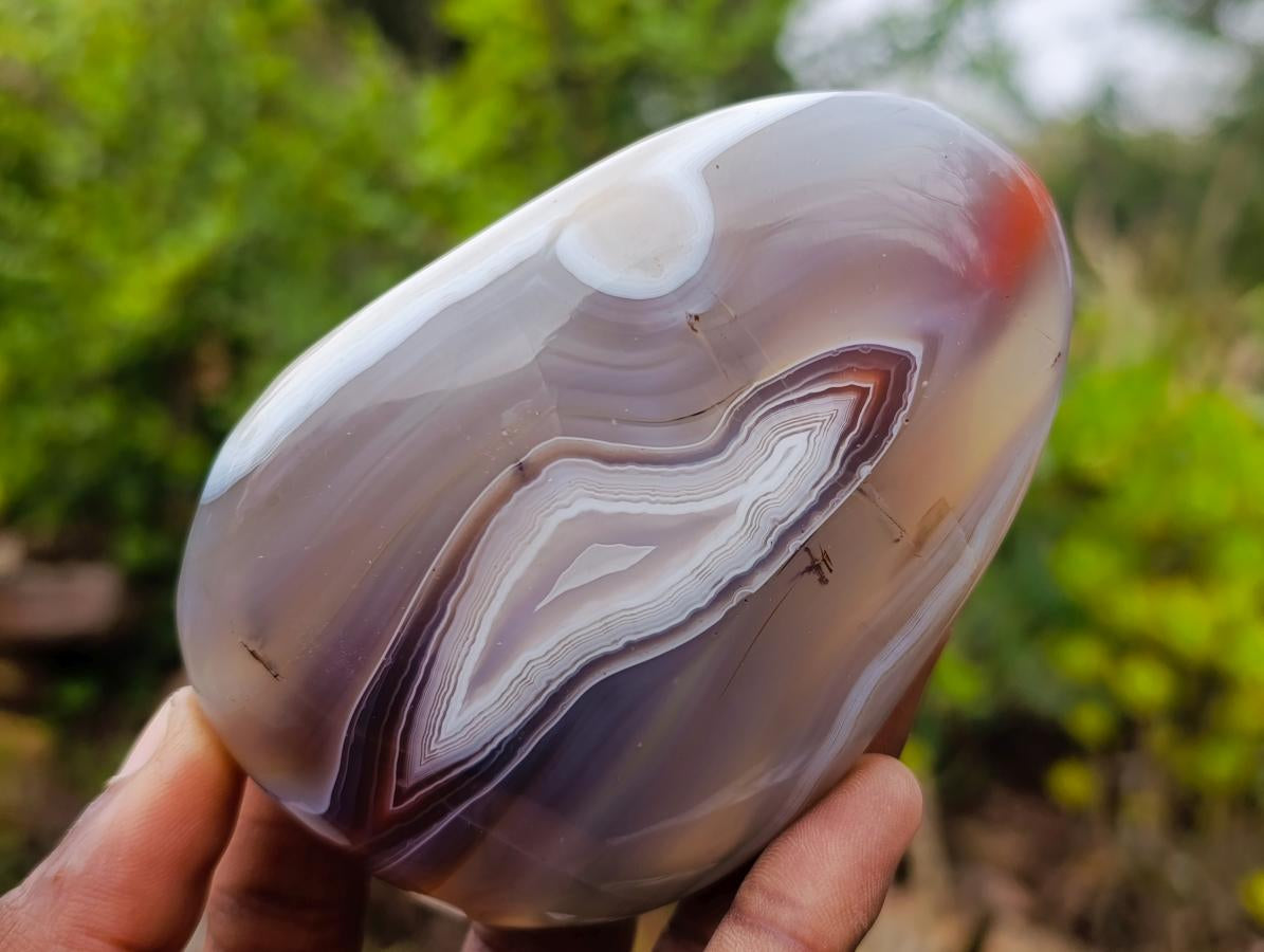 Polished Red Shashe River Agate Free Forms x 12 From Shashe River, Zimbabwe