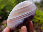 Polished Red Shashe River Agate Free Forms x 12 From Shashe River, Zimbabwe