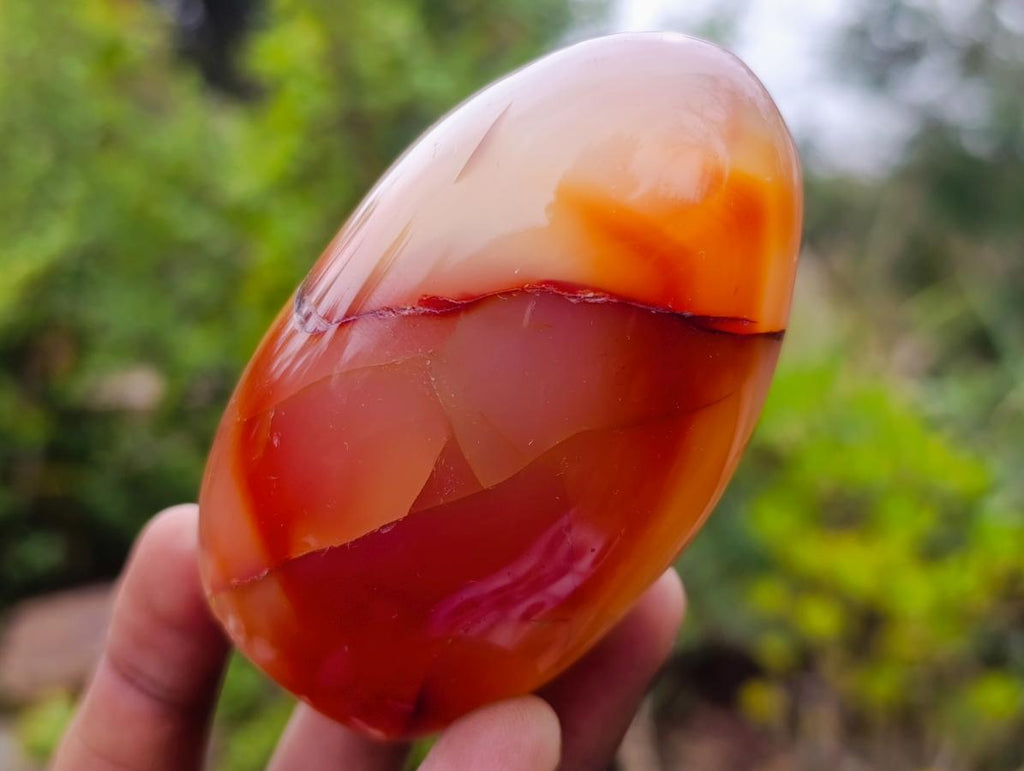 Polished Red Shashe River Agate Free Forms x 12 From Shashe River, Zimbabwe