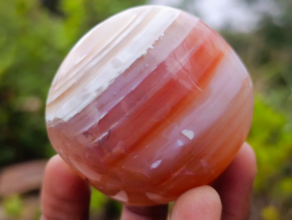 Polished Red Shashe River Agate Free Forms x 12 From Shashe River, Zimbabwe