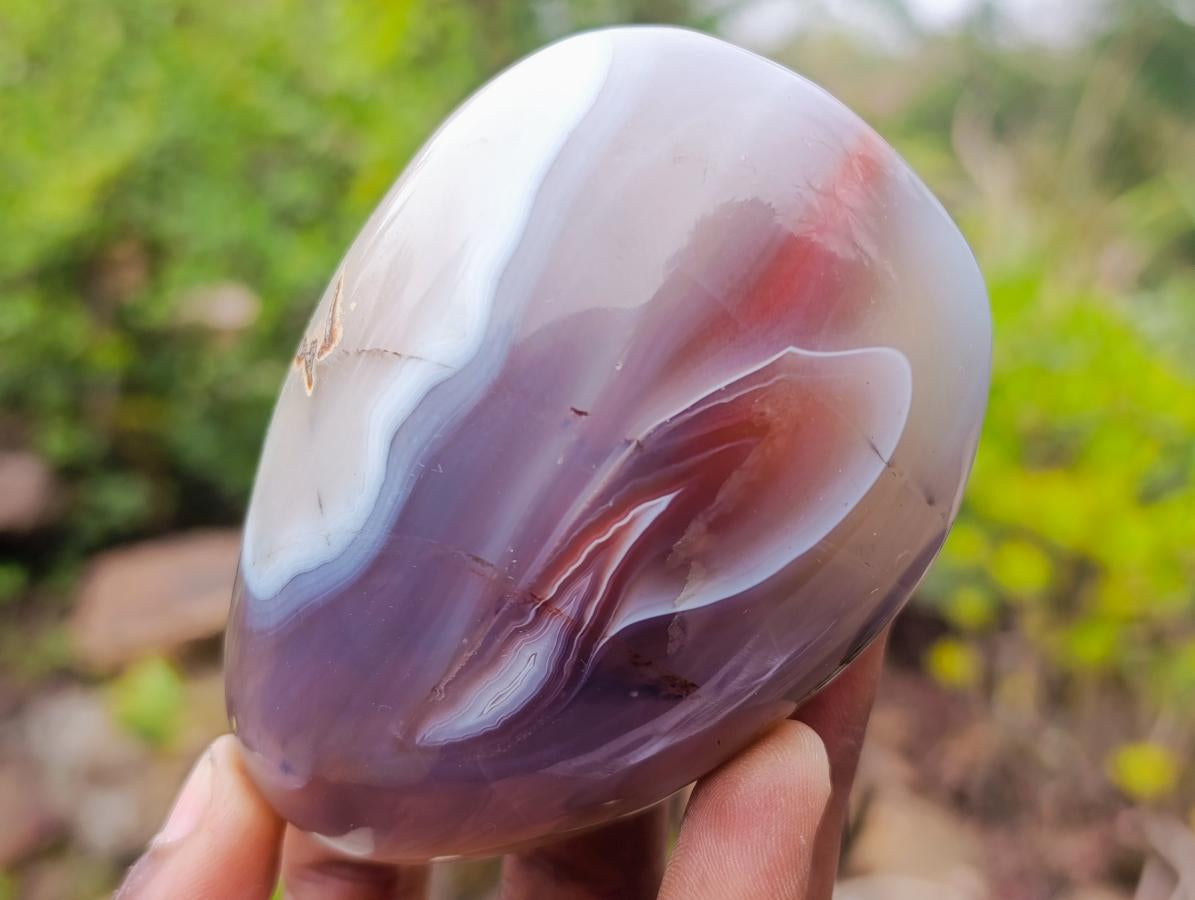 Polished Red Shashe River Agate Free Forms x 12 From Shashe River, Zimbabwe