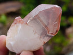 Natural Red Hematoid Quartz Crystals x 24 From Karoi, Zimbabwe
